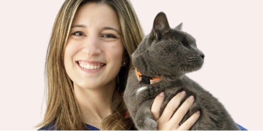 Quanto custa ter um cão ou um gato?